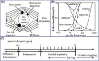 LBC mecanismos de filtracion