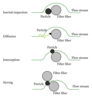 LBC mecanismos de filtracion