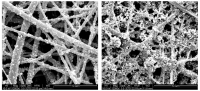 filtracion en filtros laboratorios lbc