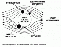LBC mecanismos de filtracion